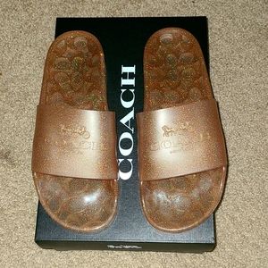 Coach Slides